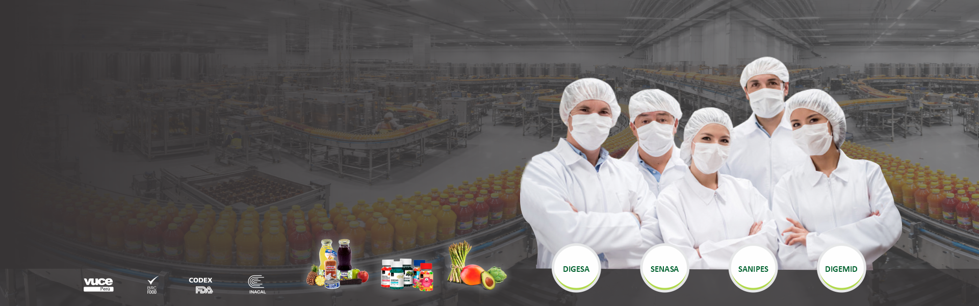 ASESORÍA Y CONSULTORÍA